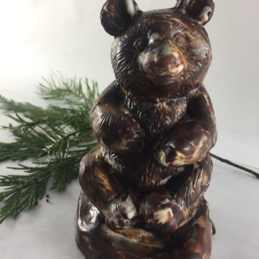 Sunshine Coast chocolate Bear by Christopher Norman Chocolates