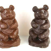 Sunshine Coast Bear [Milk or Dark Chocolate]